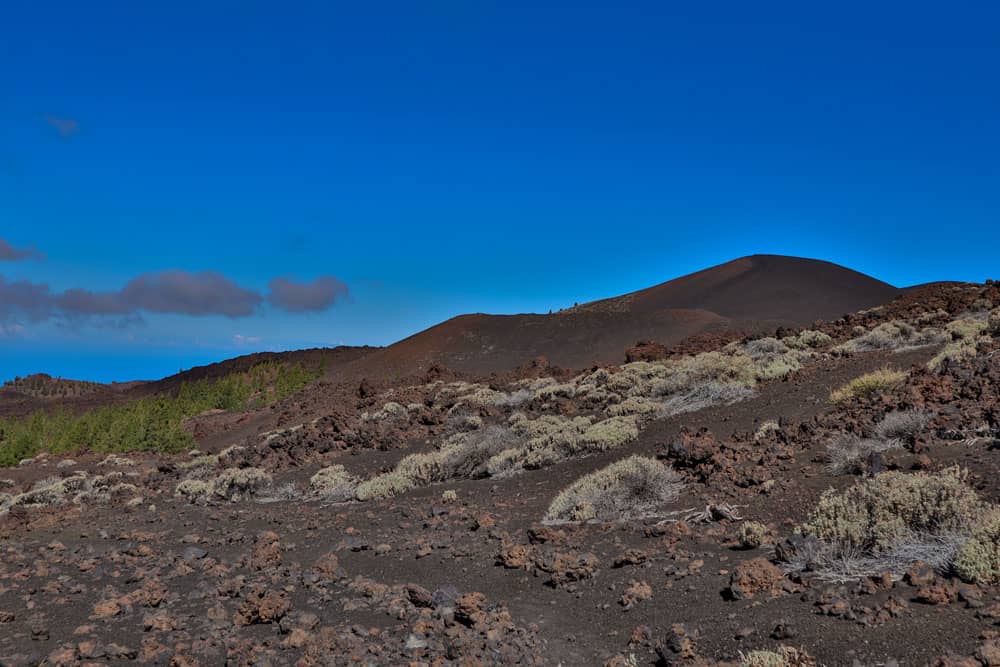 Arbustos, pinos y volcanes - Montaña de La Cruz de Tea