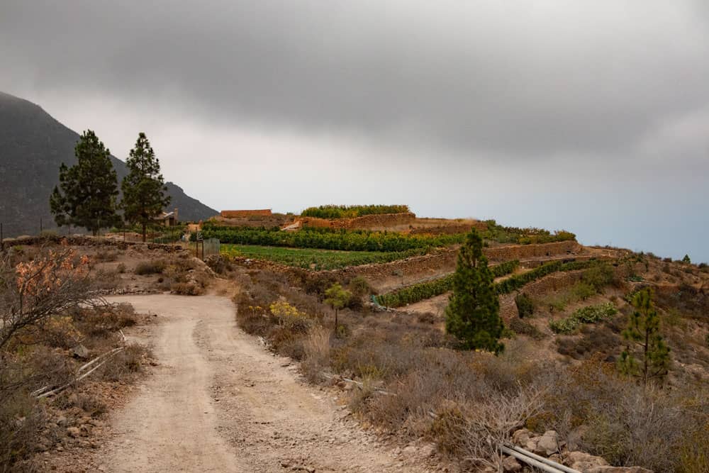 Carretera y campos adosados