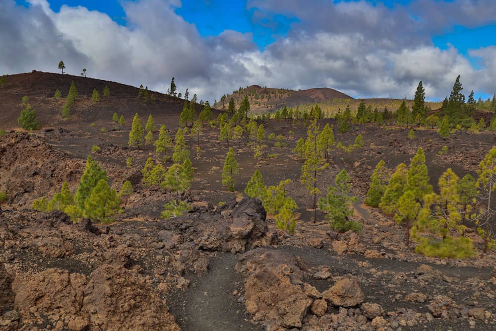 Caminata sobre volcanes - Montaña de La Cruz de Tea