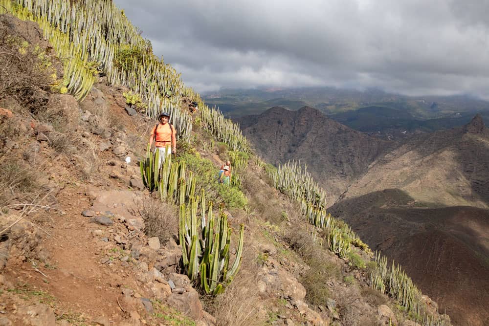 Sendero en la ladera Conde