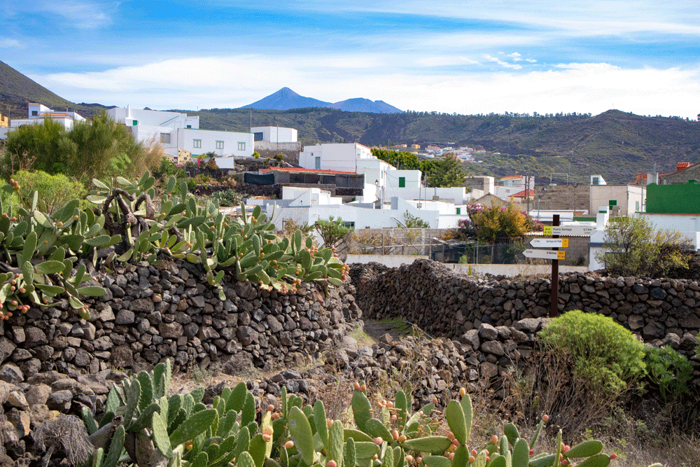 Cruce de senderismo en El Molledo y el Teide al fondo