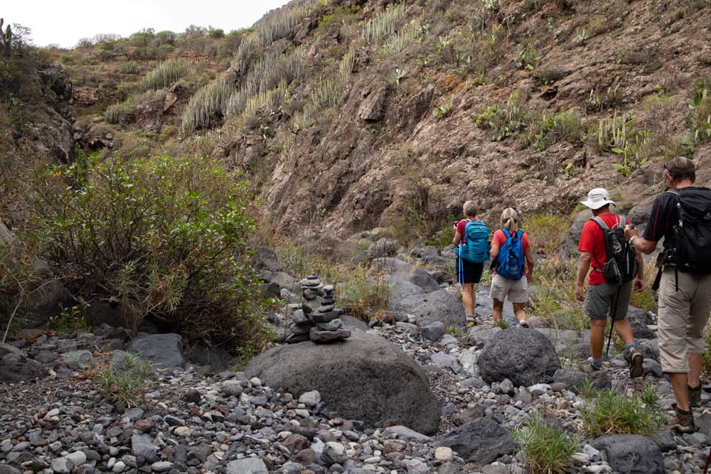 Ruta de senderismo por el Barranco del Rey