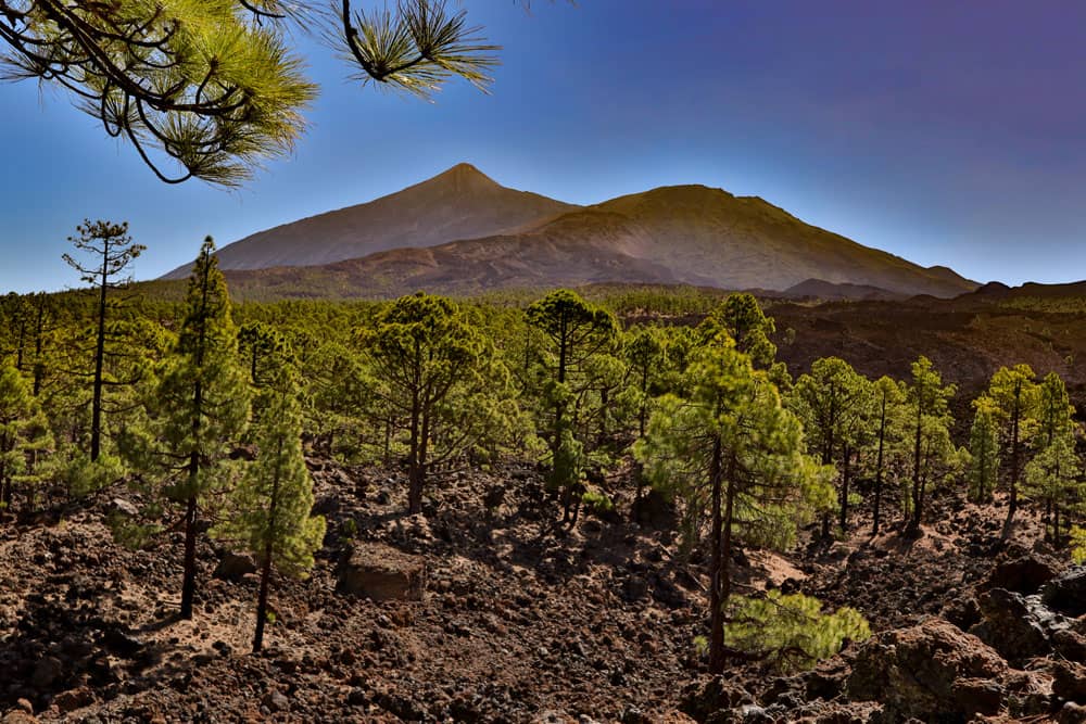 Blick auf den Teide und den Pico Viejo