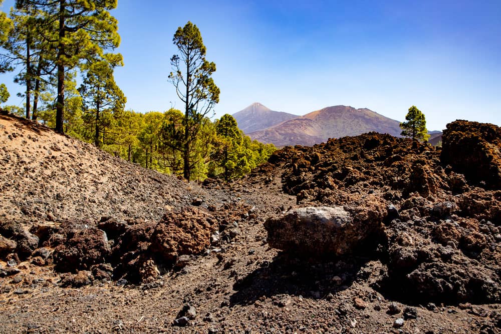 Blick auf den Teide und den Pico Viejo