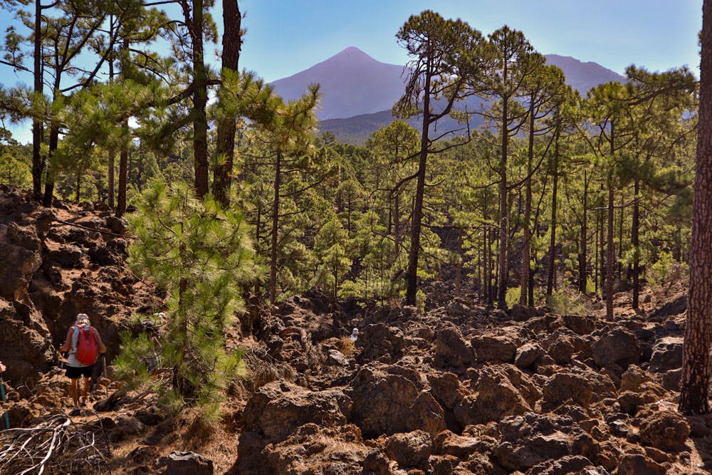 Senderismo sobre la roca de lava bajo el Teide