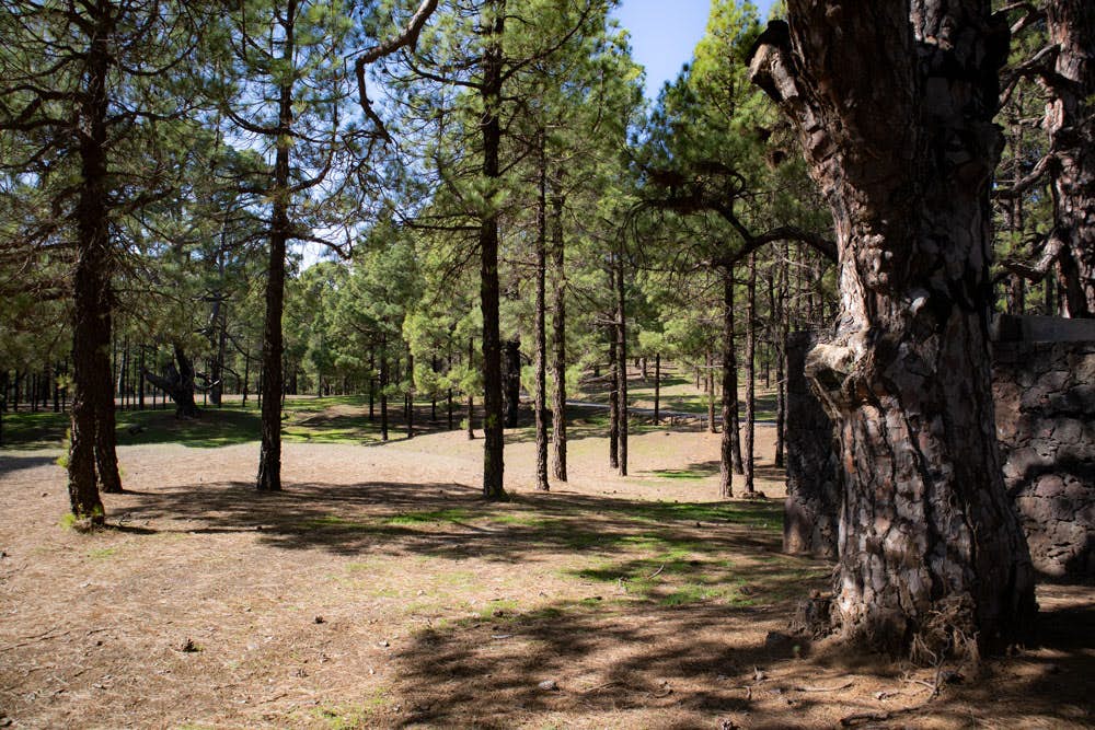 Camping y Área de Descanso Hoya del Morcillo