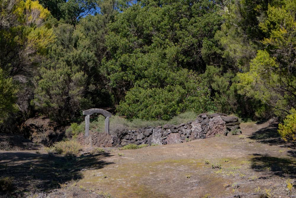 Bosques, arbustos, muros de piedra - ruta de senderismo en altitud