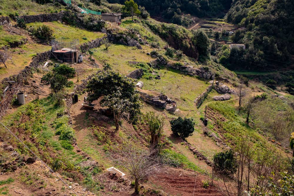 Jardines y campos alrededor de Bejia