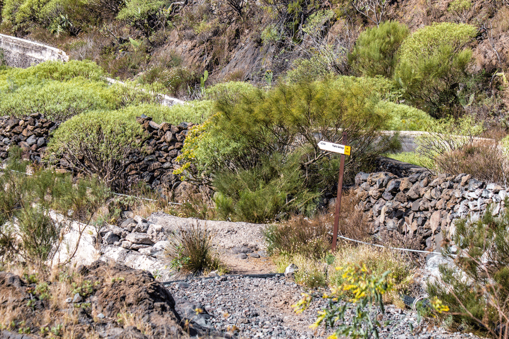 Camino Real - Wanderweg zwischen Santiago del Teide und Los Gigantes