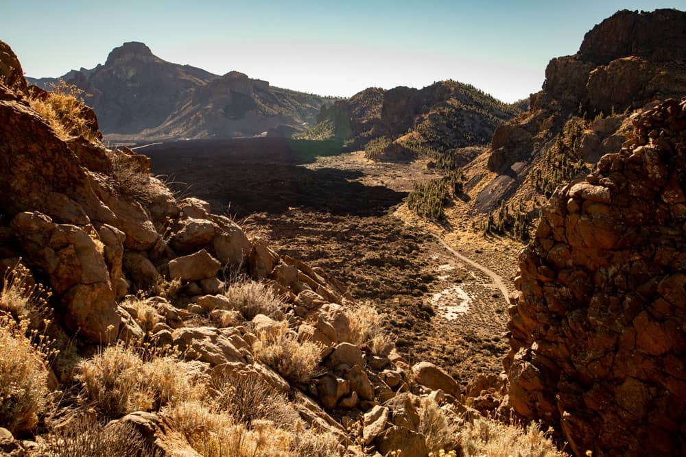 Vista de las Cañadas y de la ruta de senderismo desde Montaña el Cedro