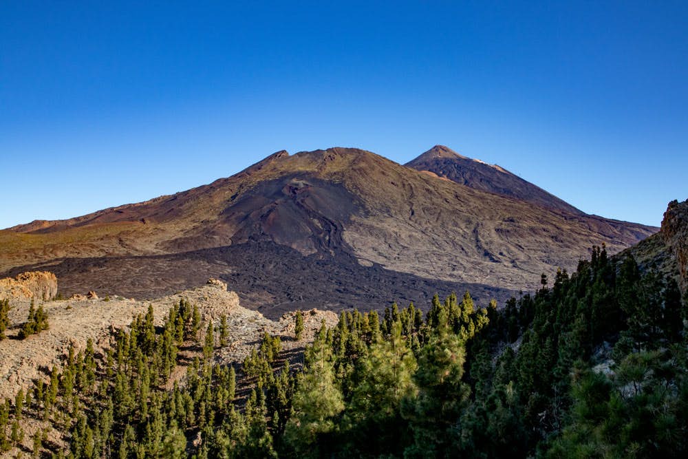 Blick auf den Teide und den Pico Viejo von der Montaña el Cedro
