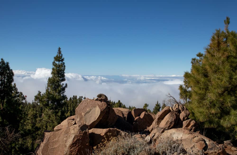 Senderismo por encima de las nubes - Montaña el Cedro