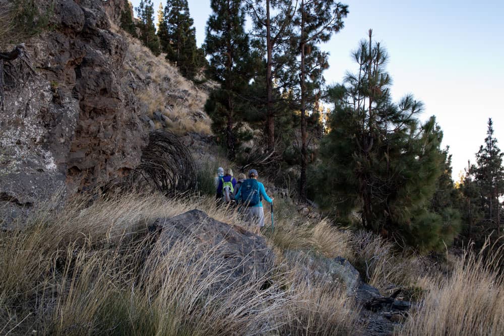 Ruta de senderismo por la ladera de la montaña - Montaña el Cedro