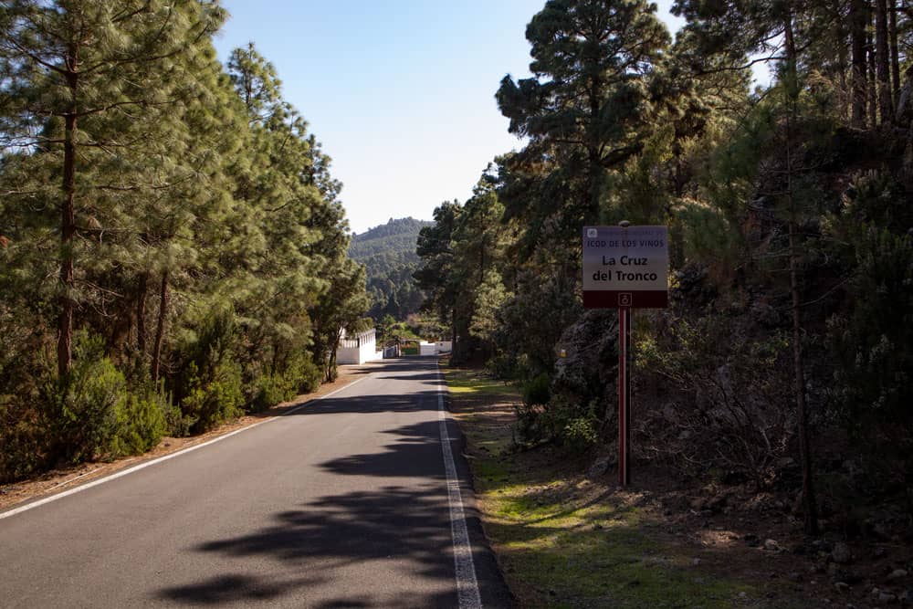 La Cruz del Tronco - Wanderweg auf Straße durch Kiefernwald