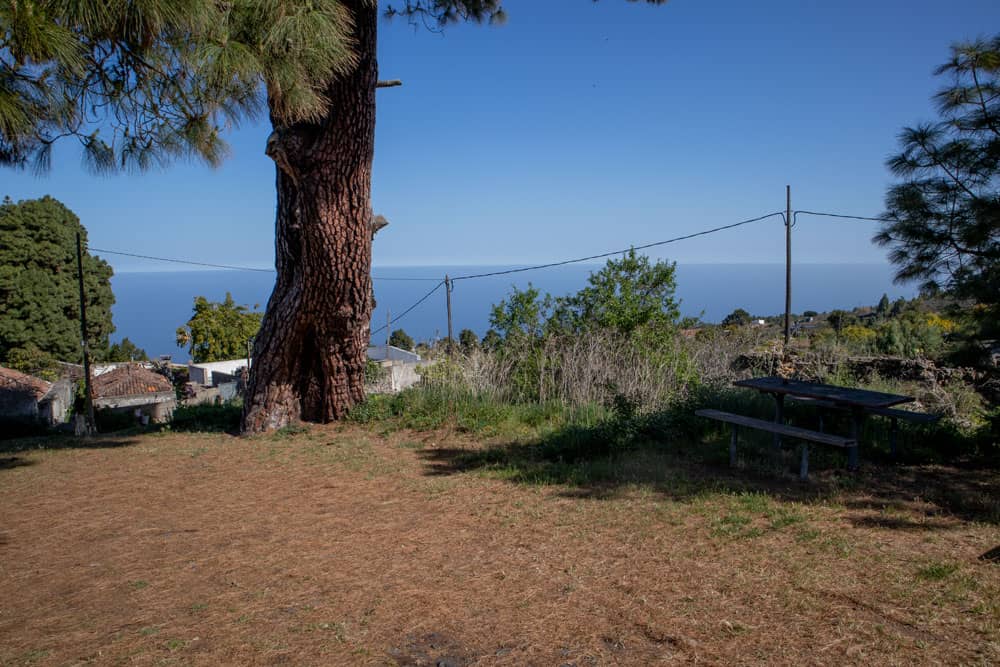 Lugar de descanso bajo un pino con vistas en la ruta de senderismo Valois - La Florida