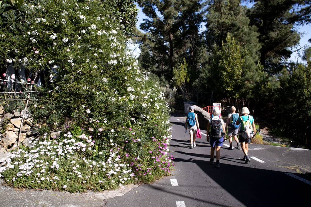 Wanderweg auf der Straße nach La Florida