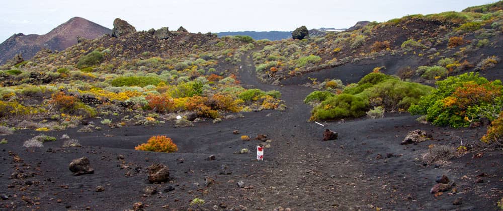 on dark earth the hiking trail leads uphill