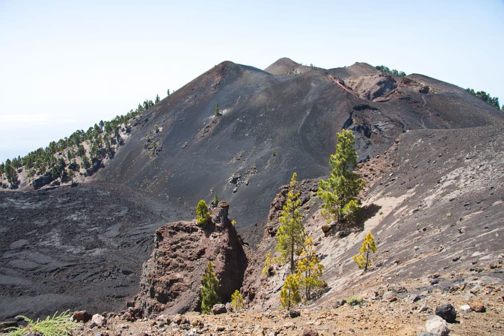 dark soil and only a few pines around the hiking path