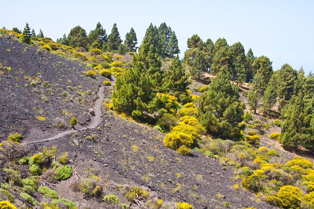 Ruta de los Volcanes - Hiking trail along the slope