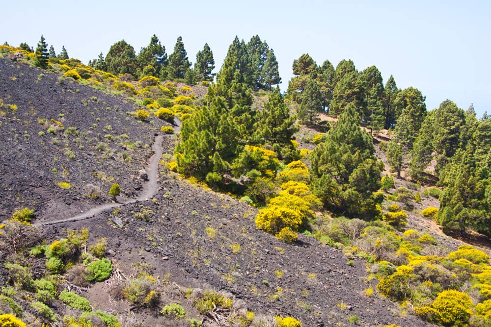 Ruta de los Volcanes - hiking path