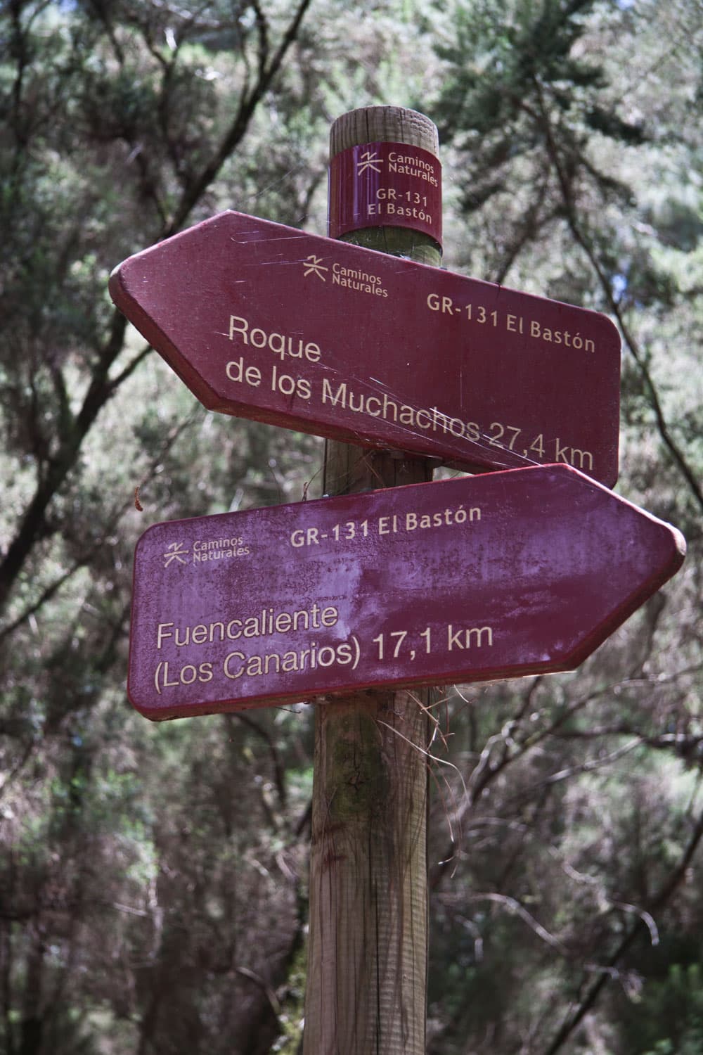 signpost Los Canarios