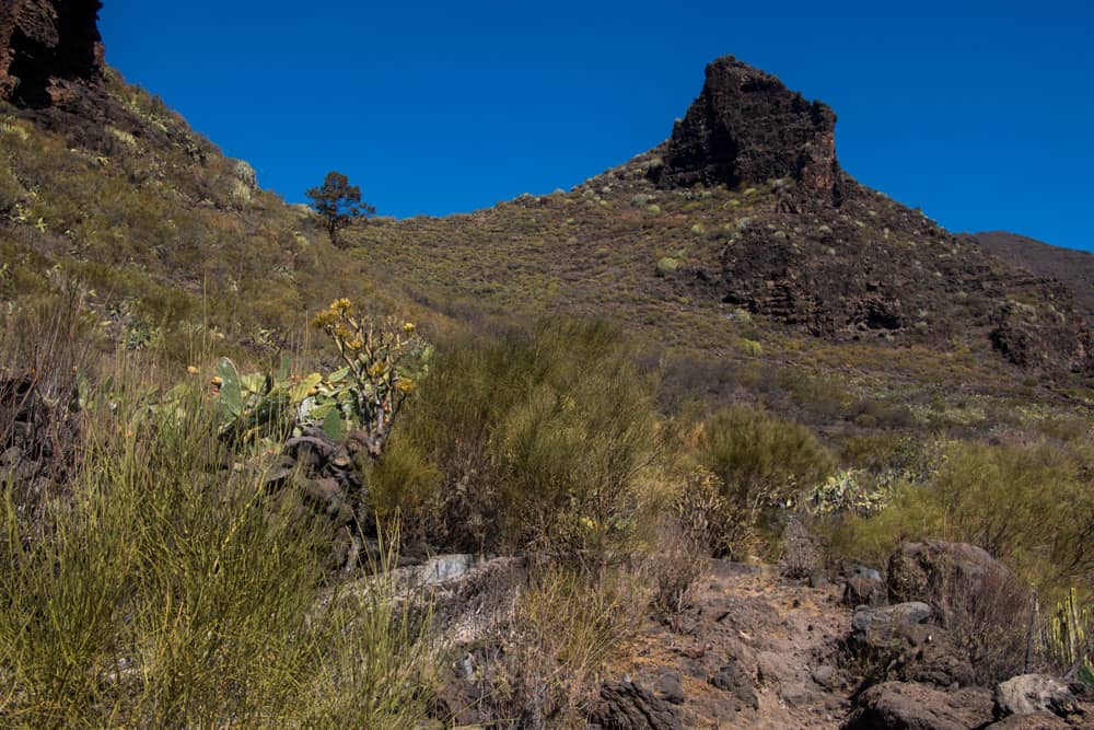 View on the Degollada del Roque