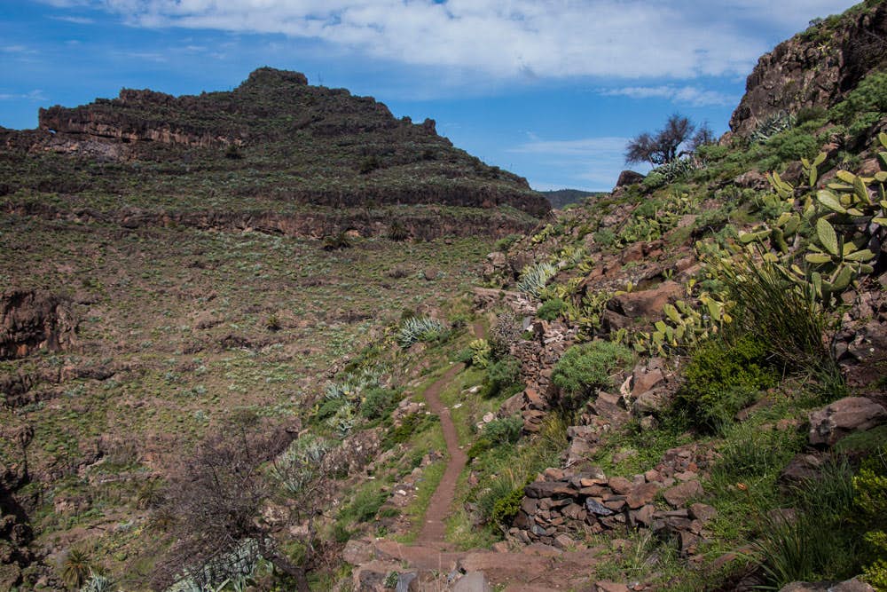 Hiking path in Valle Gran Rey direction La Mantanza