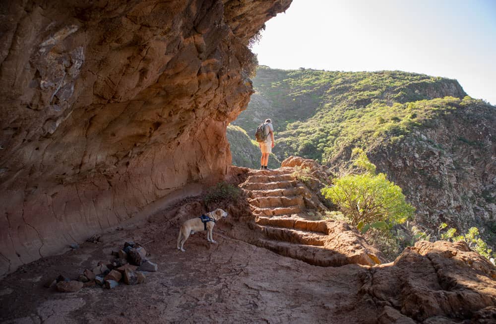 Escalones de piedra en la ruta de senderismo