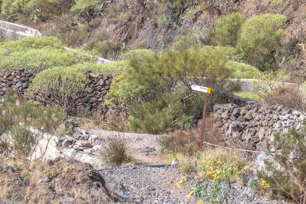 Hiking route Camino Real Los Gigantes - Santiago del Teide TF-65