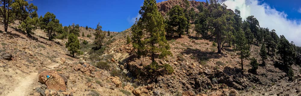 Hiking path to the Sombrero de Chasna