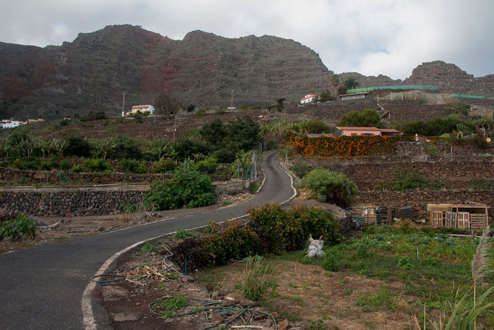 hiking trail at the street to Agulo