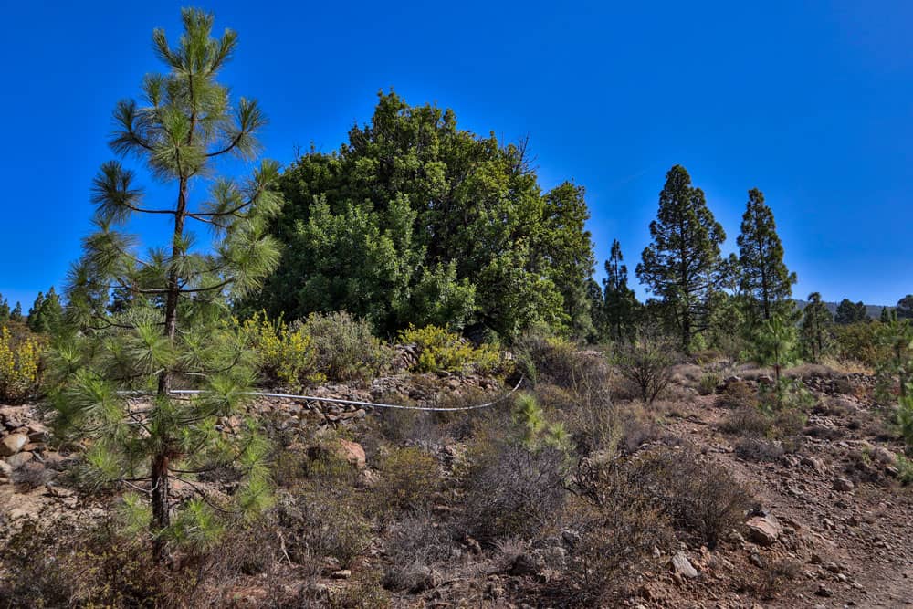 hiking path along the waterchannel