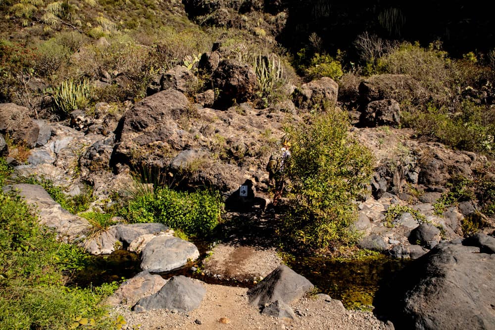 stones, bushes and a well maintained footpath