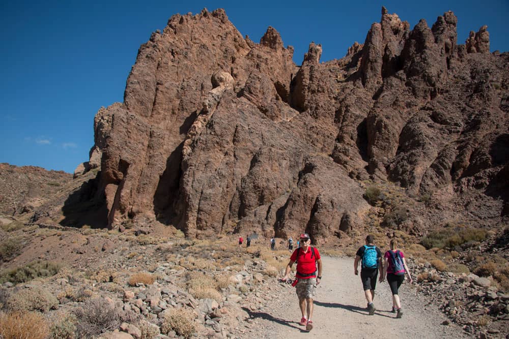 Hiking path below the Cañadas