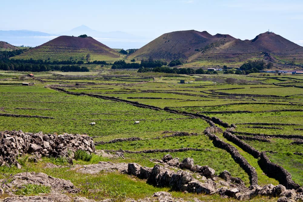 grüne Hochebene mit von Steinmauern umgebenen Wanderwegen