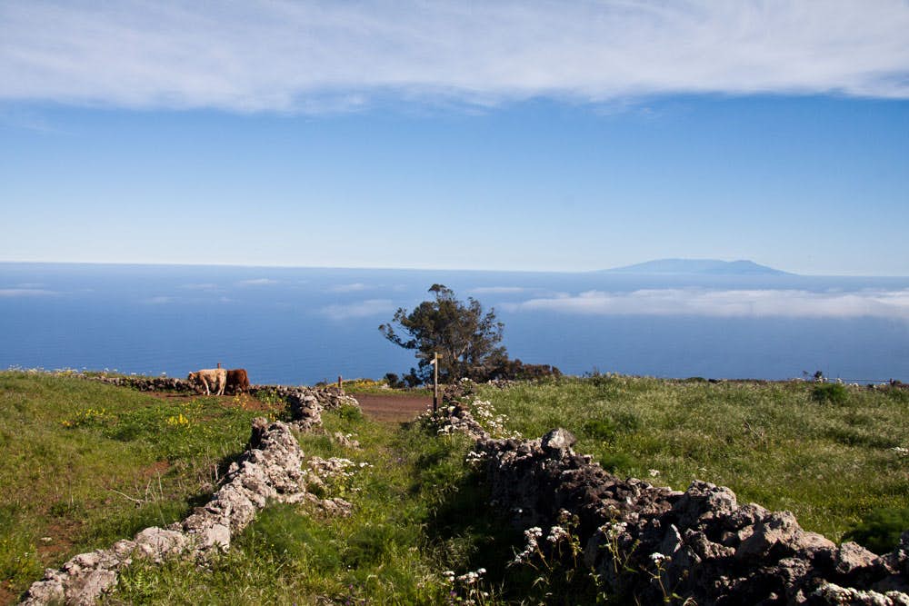 view to Tenerife from the plateau