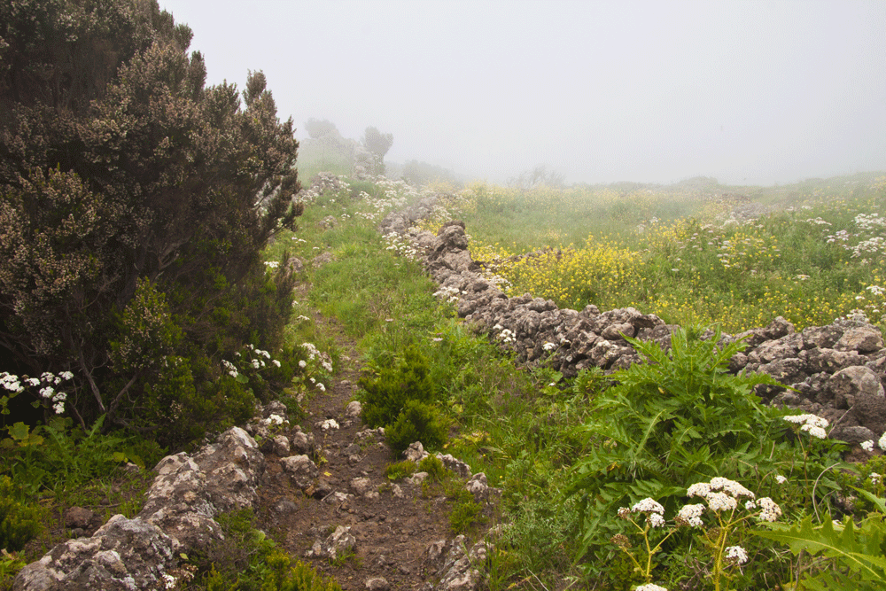 Wanderweg in den Wolken Richtung La Peña