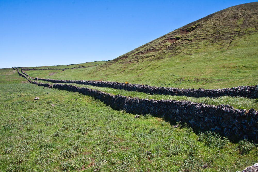 grüne Weiden und lange mit Mauern eingefasste Wege