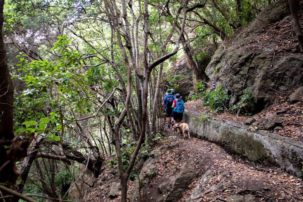 hikers at the channel - Barranco de los Cochinos