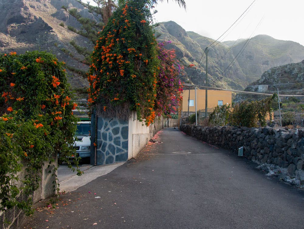 hiking path via street in Los Silos