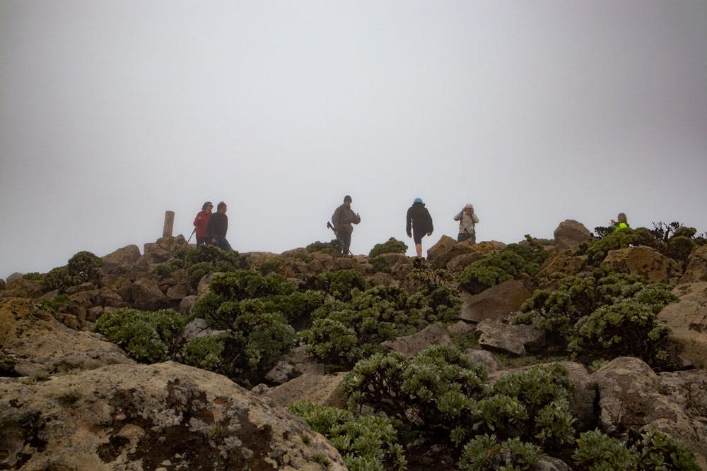 summit and break-off edge - Pico de la Zarza in clouds