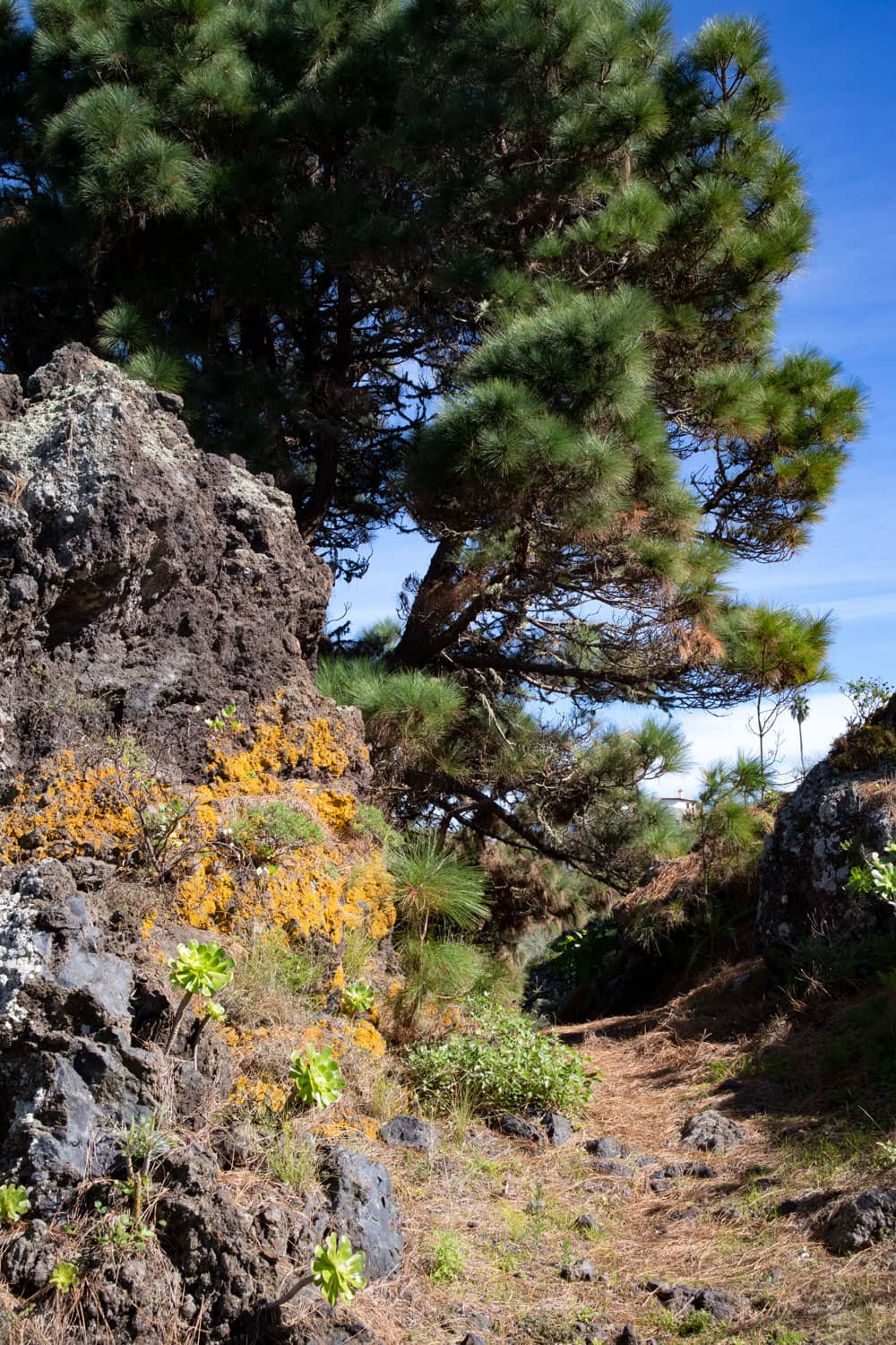 hiking path San Juan del Reparo - Mirador