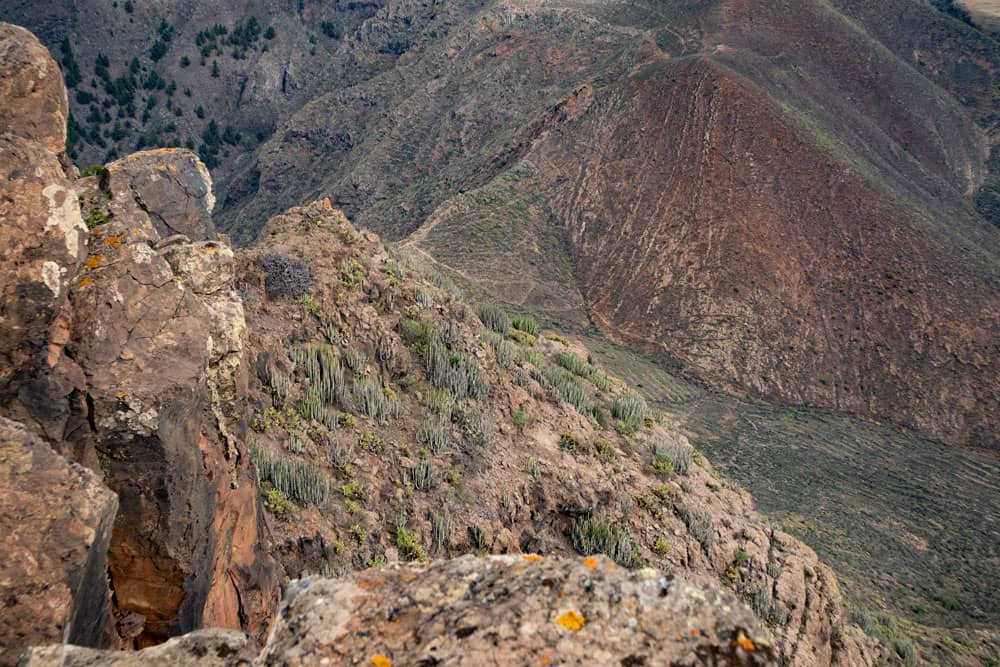 view from the summit to the ridge