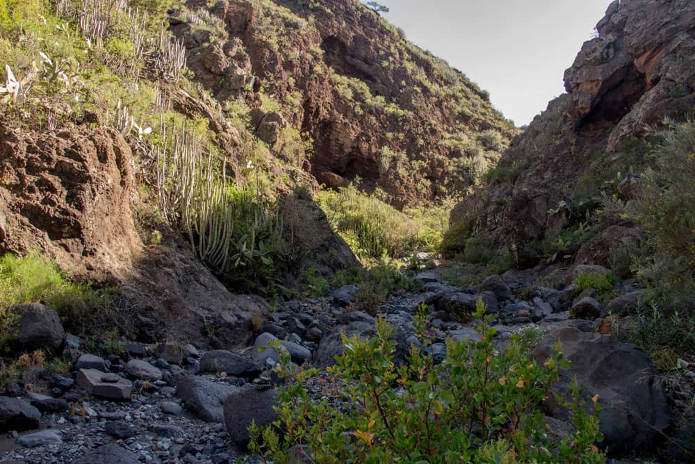 Barranco Ground - Barranco del Rey