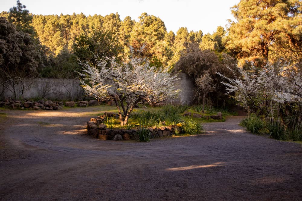 Starting point: parking at the Cueva del Viento
