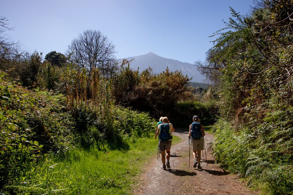 hiking path La Florida - in the background Mount Teide