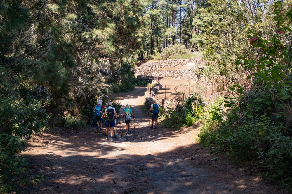 driveways, that lead as hiking trails through fields and fincas