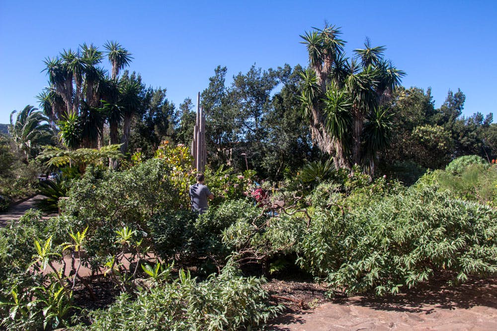 The botanical garden at the visitor centre