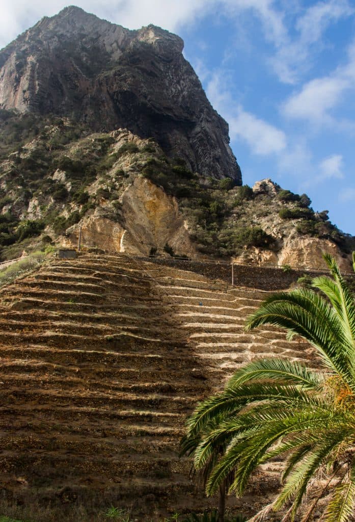typical terrace fields at the wayside