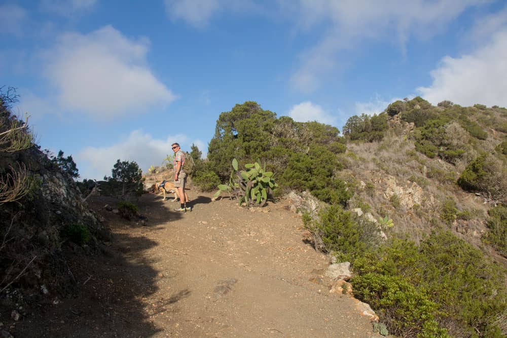 on the comb hight - hiker with dog - Vallehermoso